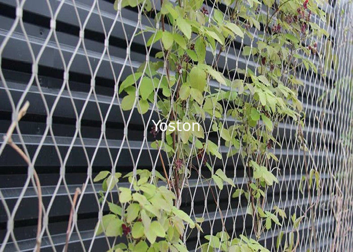 X Tend Stainless Steel Cable Netting Wire Mesh Plant Trellis For Climbing Plants