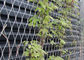 X Tend Stainless Steel Cable Netting Wire Mesh Plant Trellis For Climbing Plants supplier